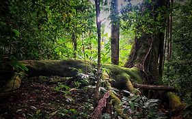 El Remanso Rainforest Lodge